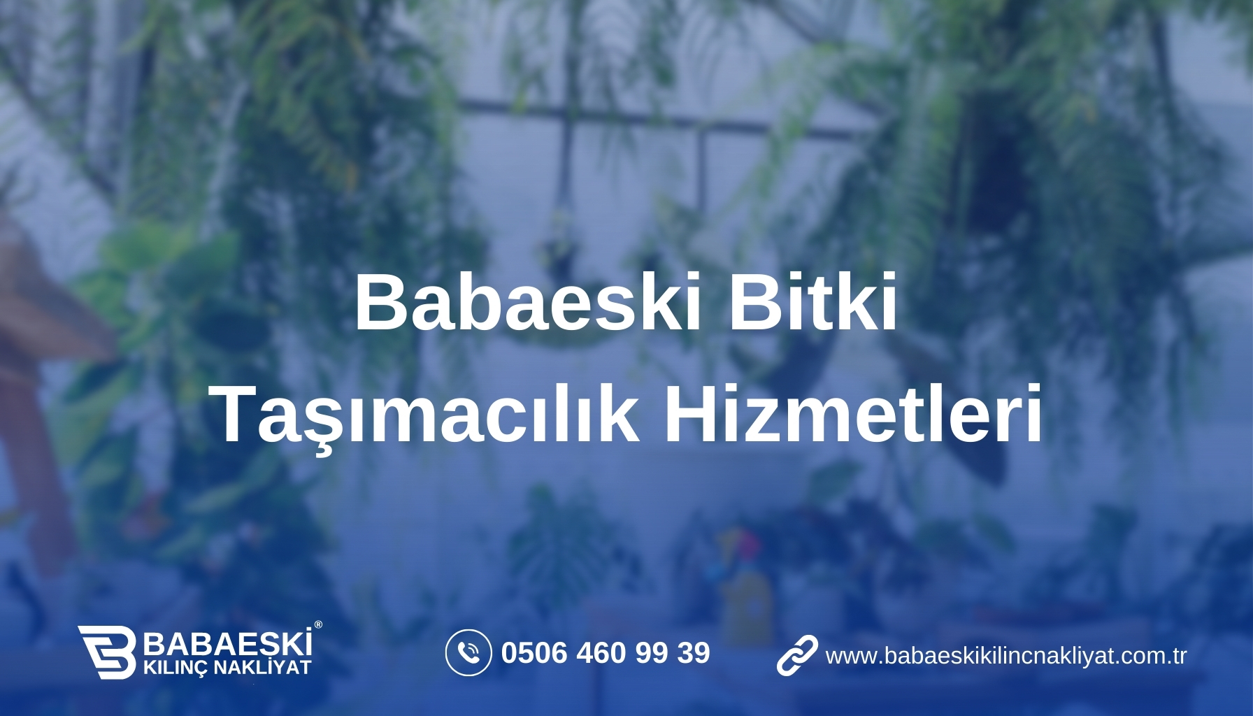 Babaeski Bitki Taşımacılık Hizmetleri